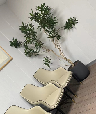 �����̻�����ֲ��